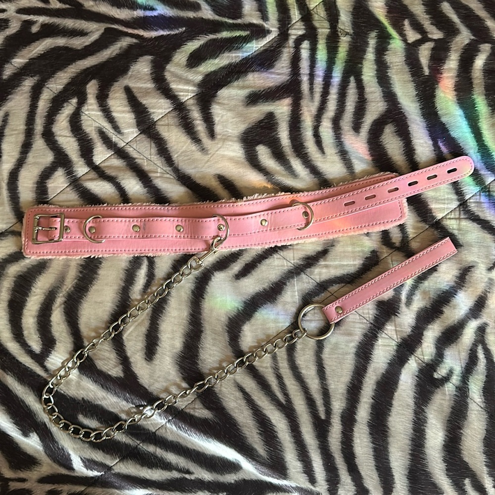 Leather leash and collar